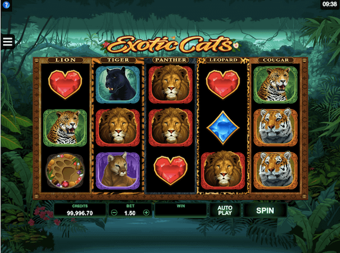 Exotic Cats Microgaming Slot