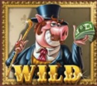 Piggy Riches Slot Wild Symbol