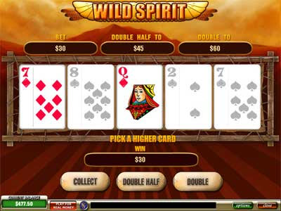 Screenshot 3, Wild Spirit Slot